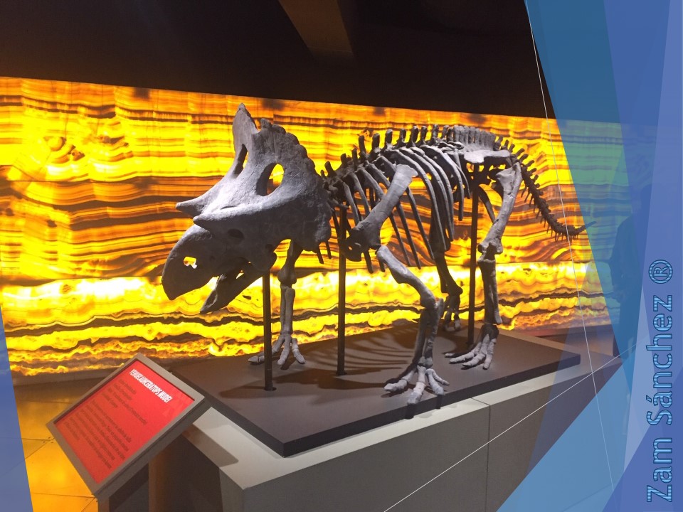 Dinosaurios Zam