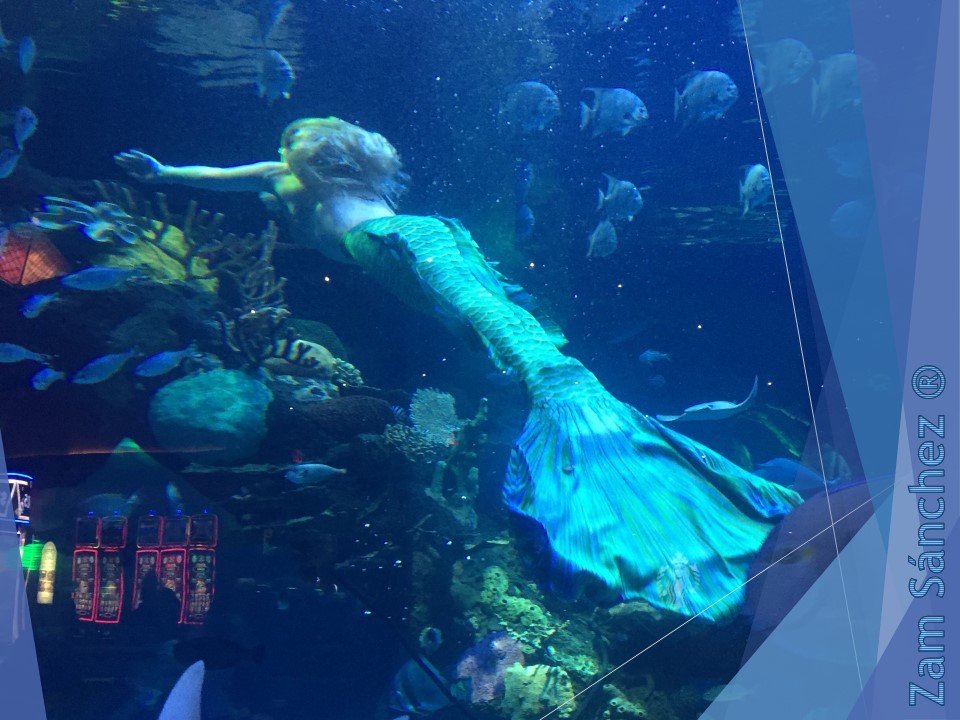 Sirenas Zam